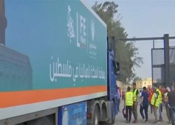 توصيل 8505 طن من المساعدات لقطاع غزة من مصر 2