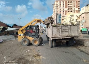 حملات مكثفة على النظافة ورفع الإشغالات بمراكز ومدن كفر الشيخ | صور