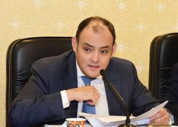 لـ تعزيز التعاون الإقليمي والدولي.. وزير الصناعة يكشف عن حجم الاستثمارات السعودية في مصر 8