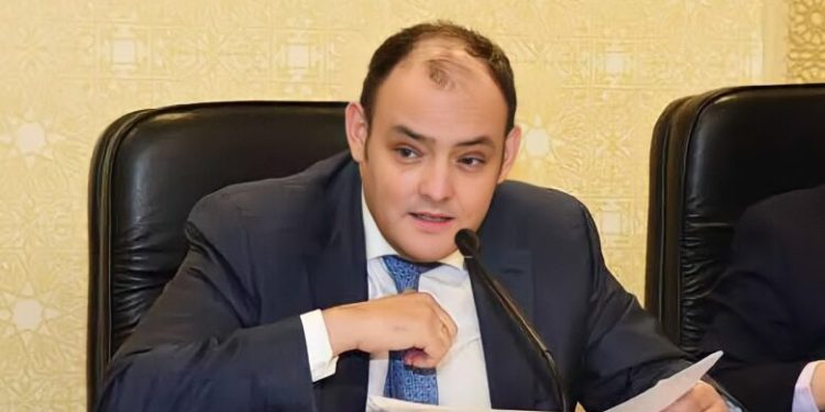 لـ تعزيز التعاون الإقليمي والدولي.. وزير الصناعة يكشف عن حجم الاستثمارات السعودية في مصر 1