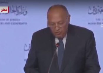 سامح شكري: مصر تطالب بوقف فوري لإطلاق النار في غزة دون قيد أو شرط 4