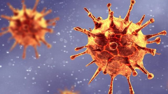 بعد كورونا "فيروس نيباه" Nipah يخترق العالم ويهدد البشرية.. تعرف على الأعراض وطرق الوقاية 1