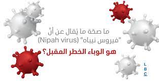 بعد كورونا "فيروس نيباه" Nipah يخترق العالم ويهدد البشرية.. تعرف على الأعراض وطرق الوقاية 2