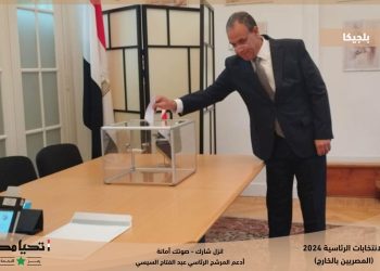 الانتخابات الرئاسية 2024.. توافد المصريون في بلجيكا للإدلاء بأصواتهم