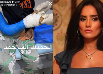 تعرف على تفاصيل إصابة نجل زينة وأحمد عز بعد ظهوره في المستشفى 1