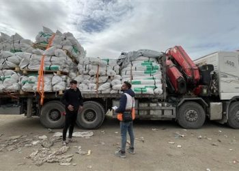 دخول 60 شاحنة مساعدات و4 سيارات وقود لـ غزة