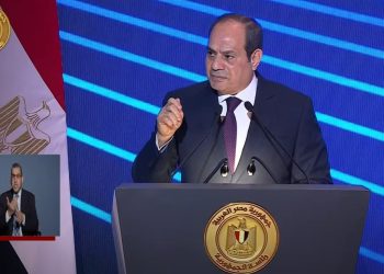 السيسي لـ المصريين: كل حاجة تهون إلا بلدنا