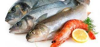 استقرار أسعار الأسماك اليوم 2 يناير .....تعرف عليها 1