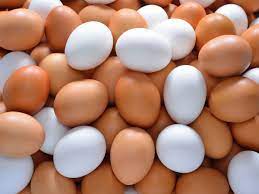 أسعار البيض اليوم الثلاثاء 2- 1- 2024.. تعرف عليها 1