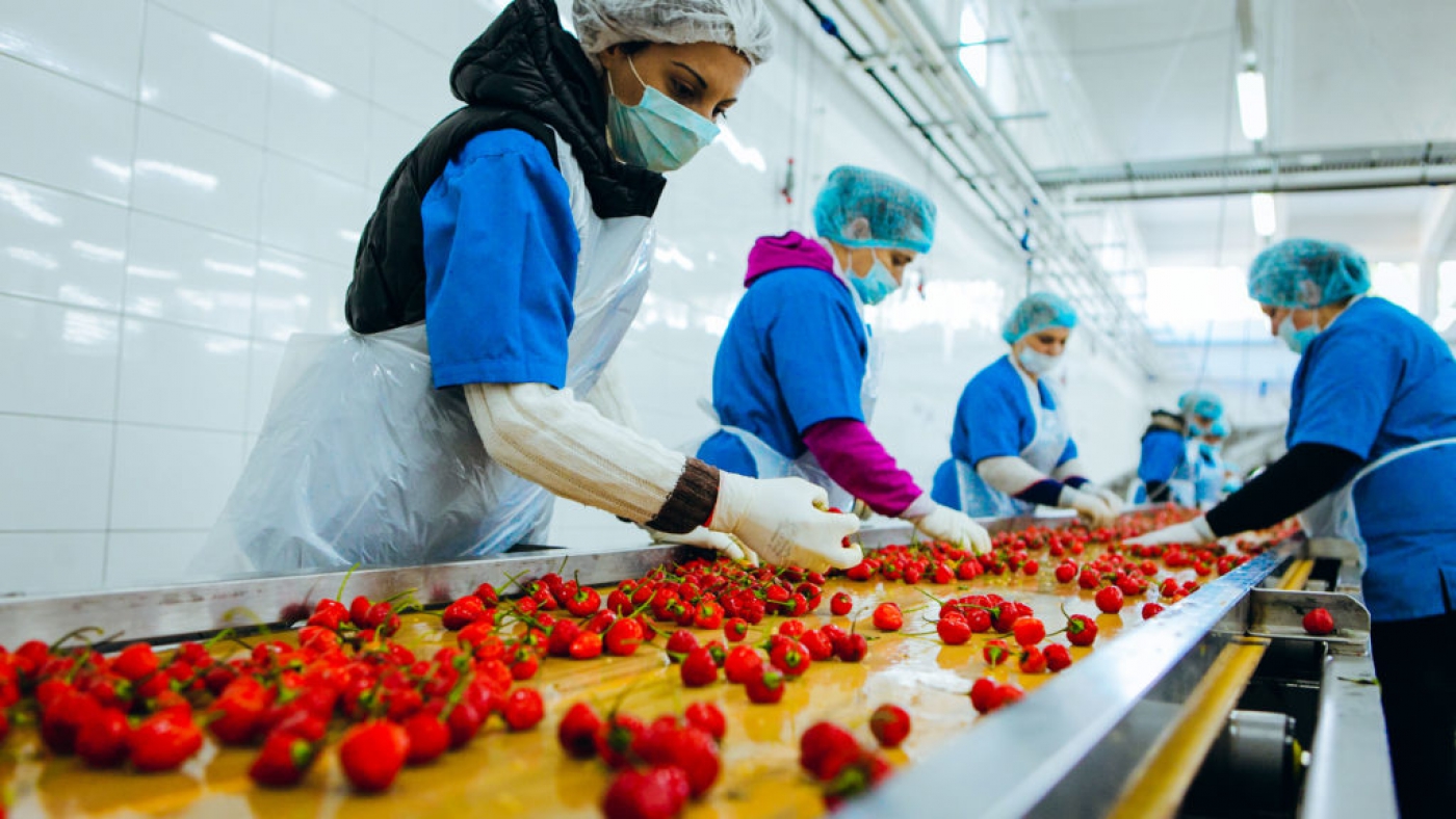 التصديري للصناعات الغذائية: نستهدف وصول الصادرات إلى 5.6 مليار دولار في نهاية عام 2024 2