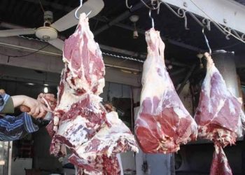 رئيس شعبة القصابين: أسعار اللحوم تصل إلى 400 جنيه في رمضان بسبب غلاء الأعلاف 1