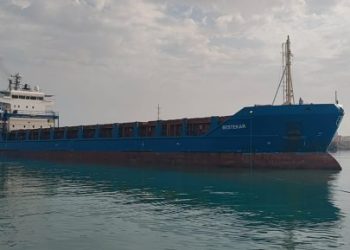 وصول سفينة تركية ميناء العريش تحمل 2334 طن مساعدات إغاثية لغزة