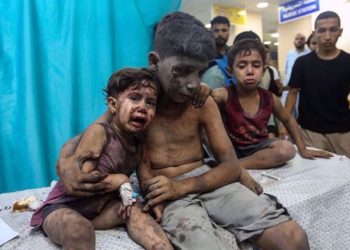 مقررة أممية تكشف عن الوضع في غزة وتصفه "كارثي" وتتهم أمريكا بأنها السبب 17