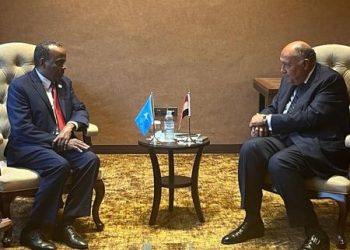وزير الخارجية يلتقي نظيره الصومالي بشأن المشاركة في قمة عدم الانحياز 1