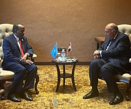 وزير الخارجية يلتقي نظيره الصومالي بشأن المشاركة في قمة عدم الانحياز 1