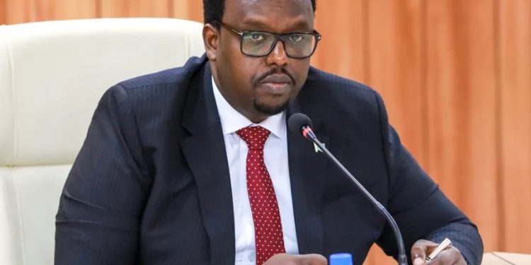نائب رئيس الوزراء الصومال