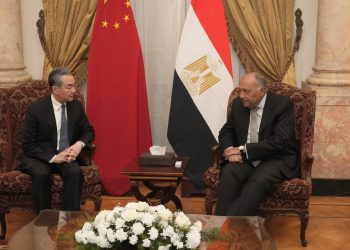 مصر والصين يتفقان على ضرورة الوقف الفوري والكامل لإطلاق النار في غزة 3