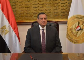 آمنة : برنامج التنمية المحلية يحدث نقلة تنموية وحضارية بمحافظات صعيد مصر 2