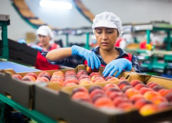 التصديري للصناعات الغذائية: نستهدف وصول الصادرات إلى 5.6 مليار دولار في نهاية عام 2024 3