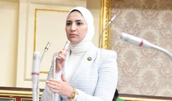 النائبة نشوى رائف - واقعة تعدي نائبة على معيدة في جامعة جنوب الوادي