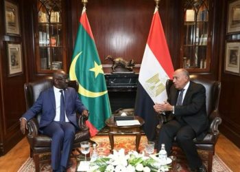 سامح شكري يستقبل وزير الخارجية الموريتاني ويعقدان جلسة مباحثات موسعة 1