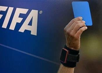 رأي الفيفا في دخول البطاقات الزرقاء عالم كرة القدم  3
