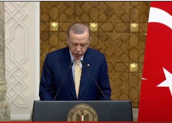 أردوغان: نقدر جهود مصر في وقف مخططات تهجير الفلسطينيين 1