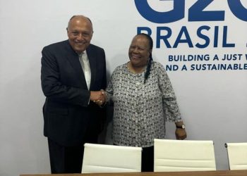 سامح شكري يلتقي مع وزيرة خارجية جنوب أفريقيا على هامش اجتماع دول مجموعة العشرين 1