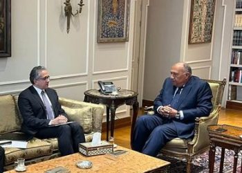 وزير الخارجية يستقبل مرشح مصر لمنصب مدير عام "اليونسكو" 3