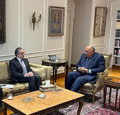 وزير الخارجية يستقبل مرشح مصر لمنصب مدير عام "اليونسكو" 1