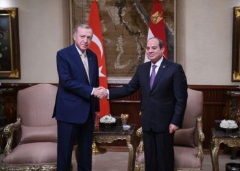 خبير اقتصادي: القمة المصرية التركية صفحة جديدة في العلاقات 3