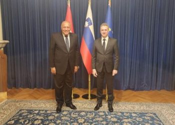 خلال زيارته لـ لوبليانا.. سامح شكري يعقد سلسلة اجتماعات ثنائية مع رئيسة سلوفينيا ورئيس الحكومة وعدد من الوزراء 4