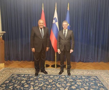 خلال زيارته لـ لوبليانا.. سامح شكري يعقد سلسلة اجتماعات ثنائية مع رئيسة سلوفينيا ورئيس الحكومة وعدد من الوزراء 1