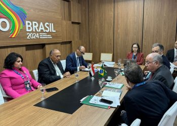 وزير الخارجية يشيد بالموقف البرازيلي الداعم للقضية الفلسطينية 4