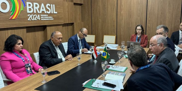 وزير الخارجية يشيد بالموقف البرازيلي الداعم للقضية الفلسطينية 1
