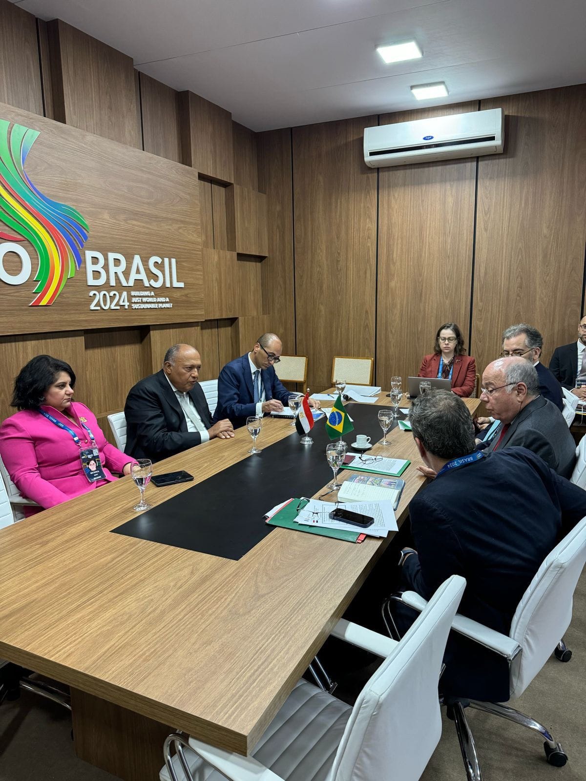 وزير الخارجية يشيد بالموقف البرازيلي الداعم للقضية الفلسطينية 2