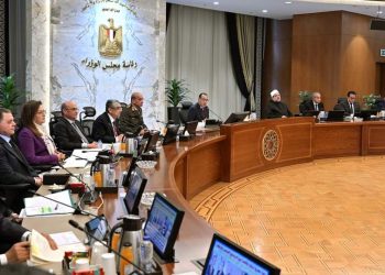 مجلس الوزراء يحدد سعر ضمان لتوريد القطن للموسم 2024/2025 1