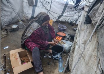 الصحة العالمية تحذر من سوء التغذية الحاد بقطاع غزة 6