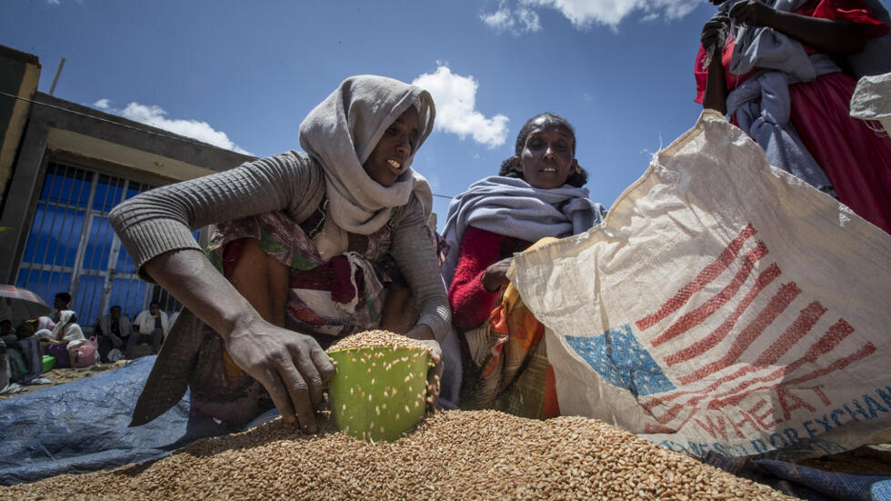 البنك الدولي: ثلث البشرية لا يجدون طوال العام ما يكفي من الطعام الآمن والمغذي 2