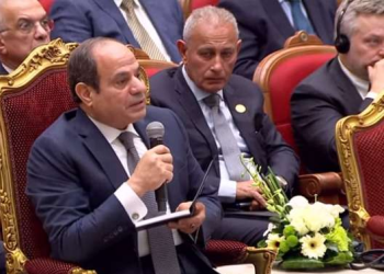 "السيسي": الغاز الطبيعي يغطي 60% من الوحدات السكنية في مصر 3