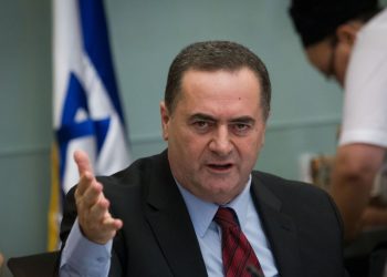 عاجل | وزير الخارجية الإسرائيلي: لا يمكن النصر في غزة دون الدخول البري إلى رفح الفلسطينية 3