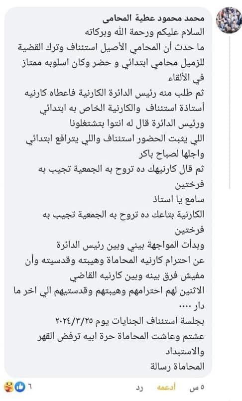 واقعة كارنية جمعية الفراخ.. أول تعليق من نقابة المحامين على ازمة القاضي والمحامي 3
