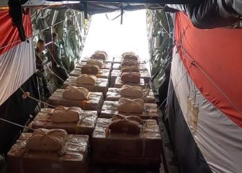 مصر تواصل أعمال الإسقاط الجوي اليومي للمساعدات الإنسانية على شمال غزة.. فيديو