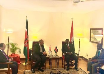 وزير الخارجية: مصر تحرص على تعزيز التعاون مع كينيا في المجالات المختلفة 9