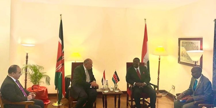 وزير الخارجية: مصر تحرص على تعزيز التعاون مع كينيا في المجالات المختلفة 1