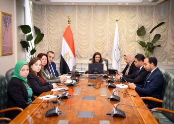 طلب عاجل من وزيرة الهجرة بشأن الاستفادة من مبادرة سيارات المصريين بالخارج 1