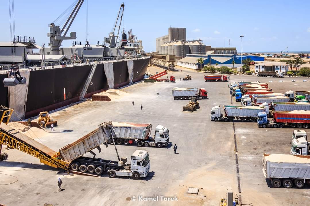 691 طن بضائع متنوعة بميناء دمياط اليوم 2