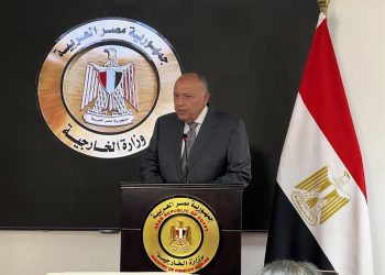 شكري: لم يكن للحكومة المصرية دخلا في منع دخول مفوض الأونروا لرفح الفلسطينية 2
