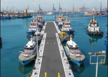 تأهيل 3 شركات مصرية لمناقصة تنفيذ تجهيزات محطة «تحيا مصر 1» بميناء دمياط 5