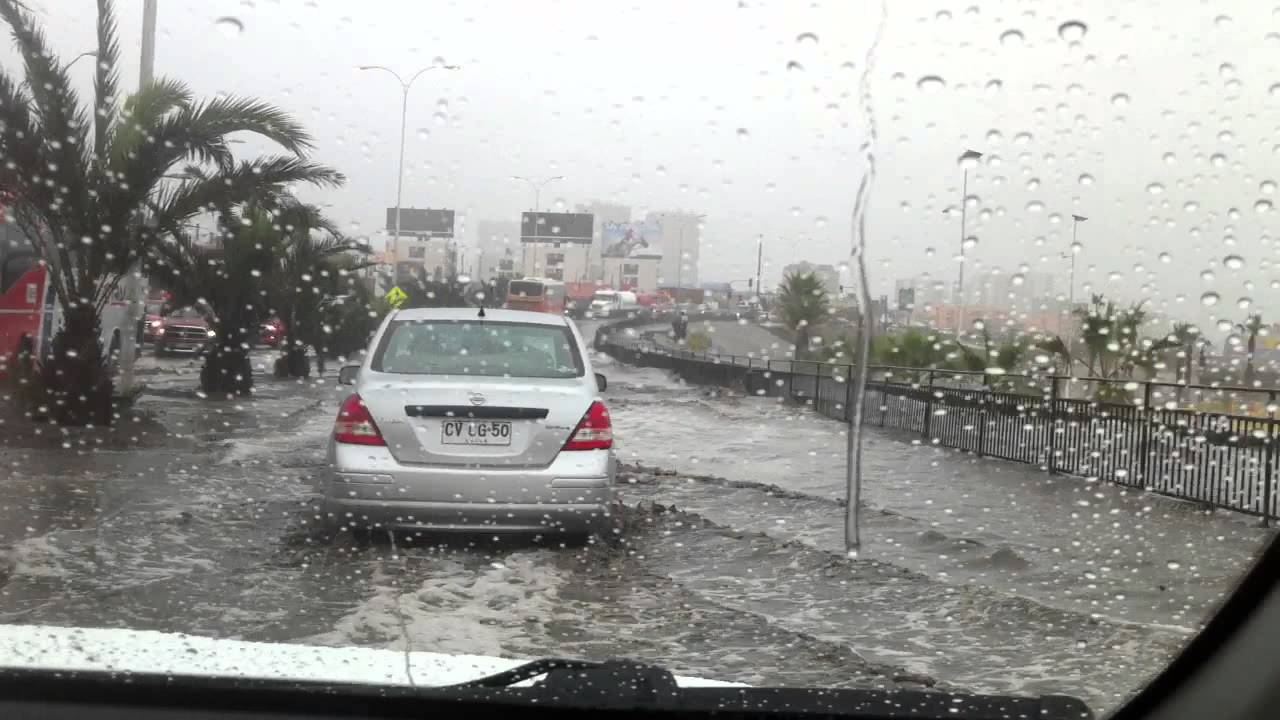 هطول أمطار رعدية غزيرة على محافظة الإسكندرية 2